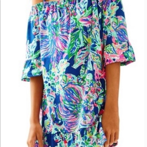 Lilly Pulitzer Other - Lilly Pulitzer dress